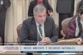 WhatsApp Image 2025-08-20 at 15.59.18.jpeg